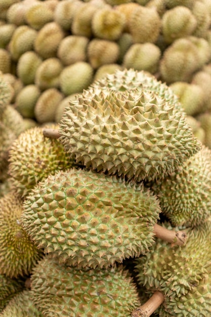 Großer Obstmarkt Durian König der Früchte