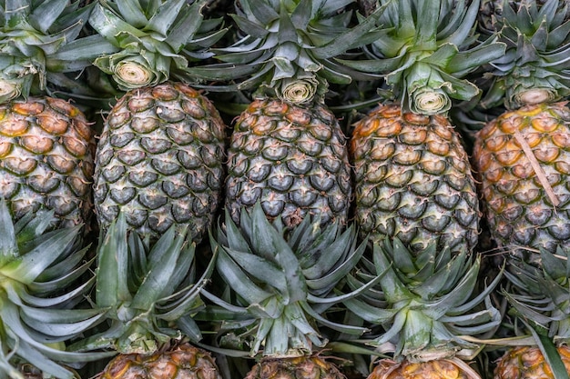 Großer ObstmarktTropische Früchte der Ananas auf dem Markt