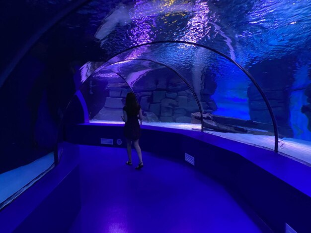 Großer schöner runder Glastunnel unter Wasser im Aquarium mit verschiedenen Fischen Konzepttourismus