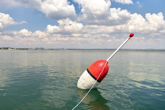 Großer Schwimmer auf einer ruhigen Meeresoberfläche