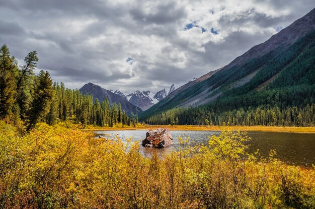 Großer Stein mitten im See. Schöner See im Hochlandtal und Fluss entlang des hohen Berges. Sumpfiges Rückstau des Bergsees mit Steinen. Gelber atmosphärischer natürlicher Hintergrund des Hochlandes.