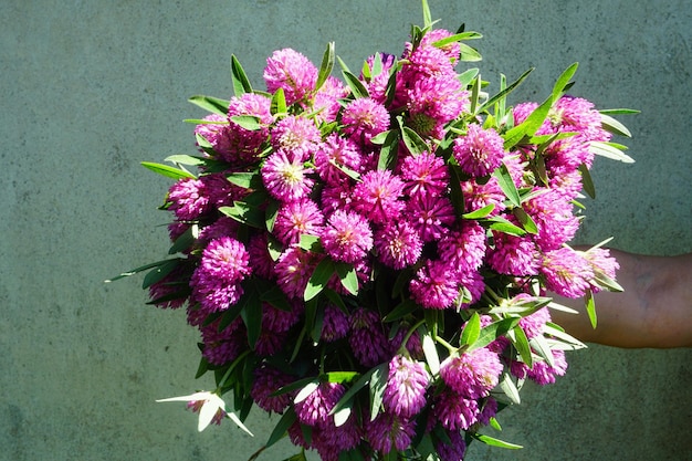 Großer Strauß roter Kleeblüten