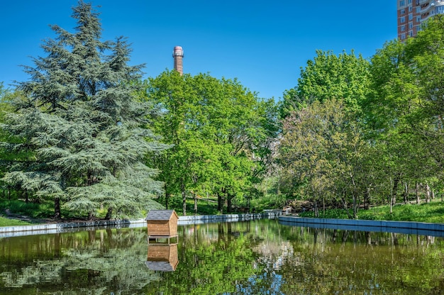 Großer Teich im Siegespark in Odessa, Ukraine