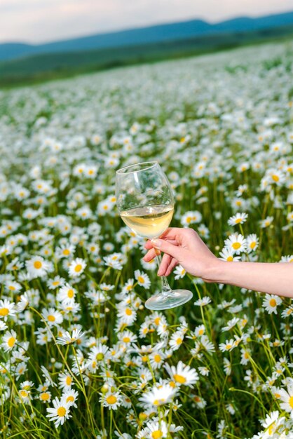 Großes Glas in einem Feld von Gänseblümchen