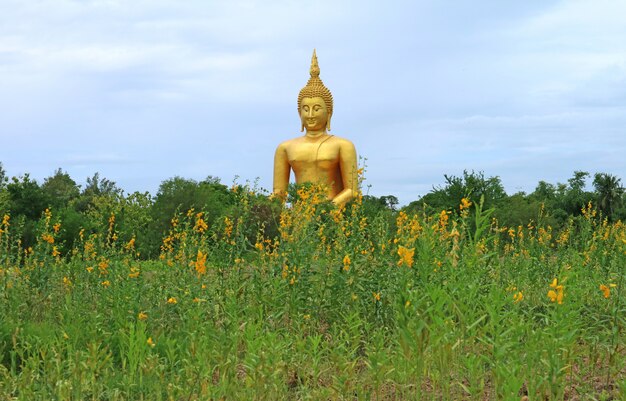 Großes goldenes Buddha-Bild mit gelbem Blumenfeld im Vordergrund, Provinz Ang Thong, Thailand