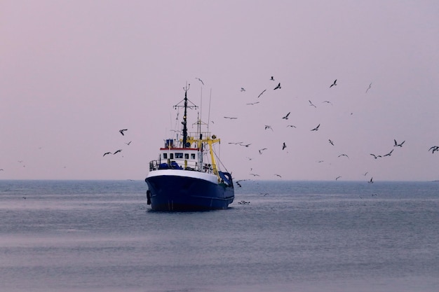 Großes schönes Schiff segelt auf dem ruhigen Schwarzen Meer mit Fischfang, darunter gibt es viele Möwen