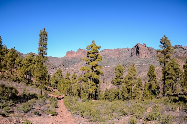 Großes Tal auf Gran Canaria, Kanarische Inseln, Spanien