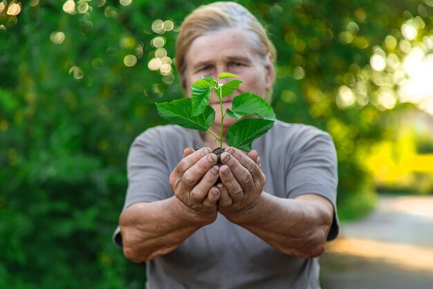 Großmutter pflanzt einen Baum im Garten Selektiver Fokus