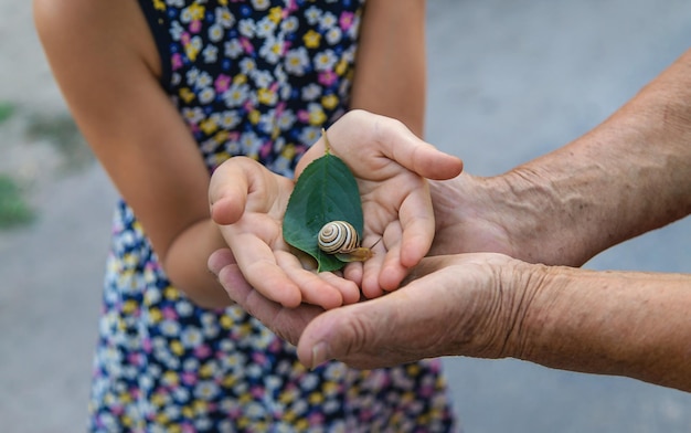 Großmutter und Kind studieren die Schnecke im Park Selektiver Fokus