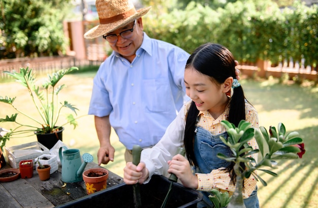 Großvater und Enkelin, die zu Hause Baum im Garten pflanzen. Rentnerleben mit der Familie im Sommerurlaub.