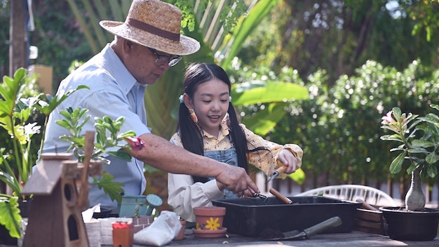 Großvater und Enkelin pflanzen zu Hause einen Baum im Garten. Lebensstil im Ruhestandsalter mit der Familie im Sommerurlaub.