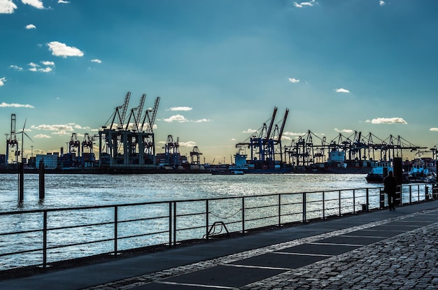 Foto grúas en el muelle comercial contra el cielo