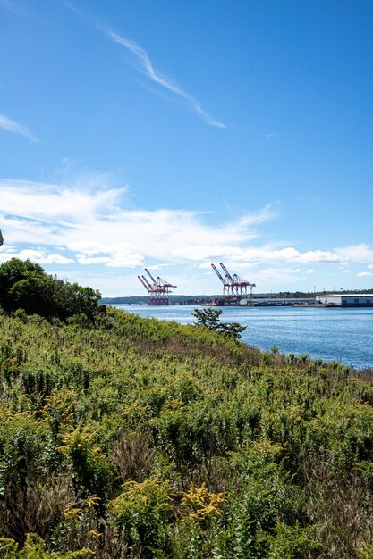 Grúas portuarias vista desde Georges Island Halifax Nova Scotia Canada