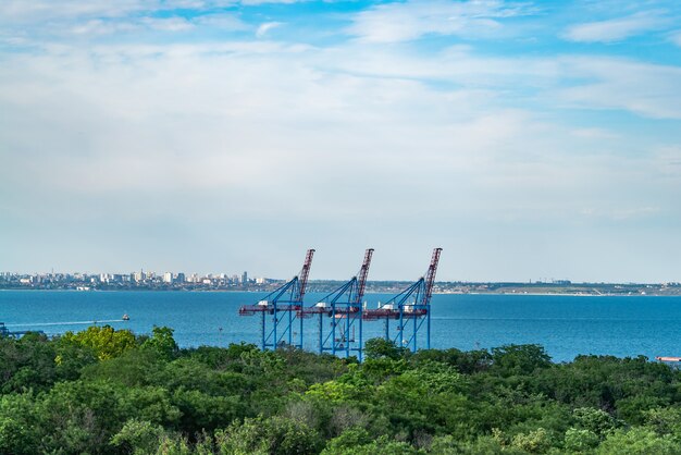 Grúas sin trabajo en un puerto vacío