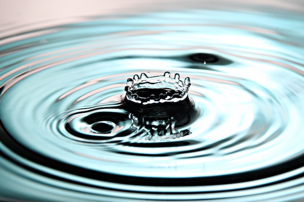 Foto grün des wassers lässt eine schöne formkrone im becken fallen