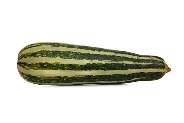 Grün gestreifte Zucchini. Herbsternte. Gesundheit und Vitamine aus der Natur. Isoliert auf weißem Hintergrund. Platz für Text.