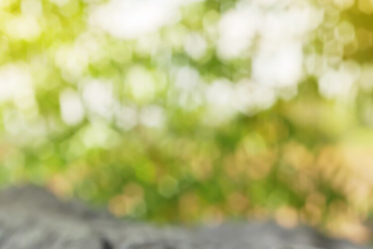 Foto grün natürlich mit bokeh und verschwommen
