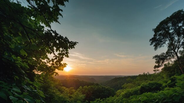 Grünblattwald am Sonnenaufgang