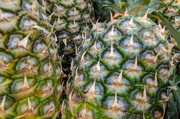 Grüne Ananas. Frische Ananasvielfalt gewachsen im Shop.