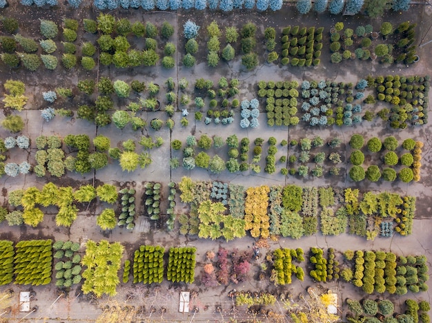 Grüne Ansicht von oben über dem Gartencenter mit verschiedenen Pflanzen, Bäumen und Büschen. Draufsicht.