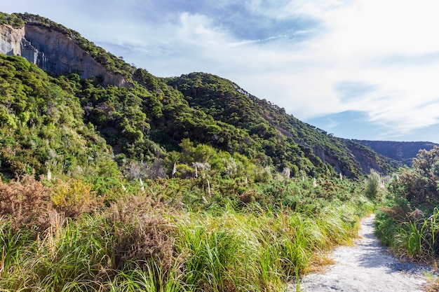 Grüne Ansichten von Putangirua Pinnacles. Nordinsel, Neuseeland