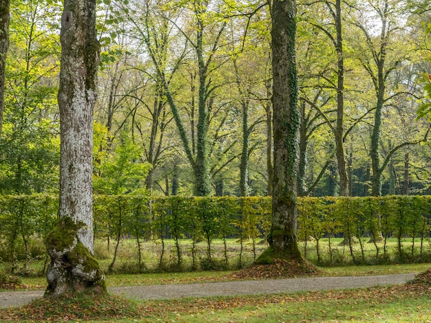 Grüne Bäume im Schlosspark Herrenchiemsee