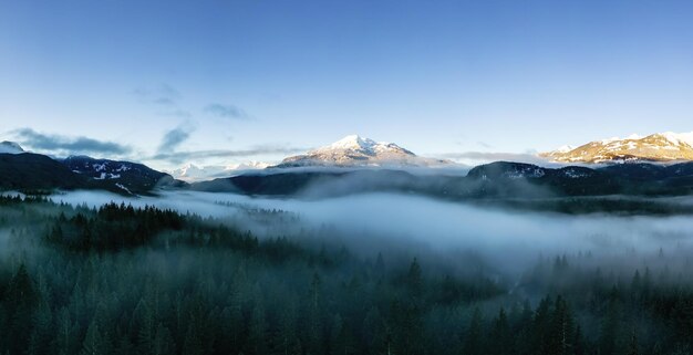 Grüne Bäume im Wald mit Nebel und Bergen Sunrise Kanadischer Naturlandschaftshintergrund