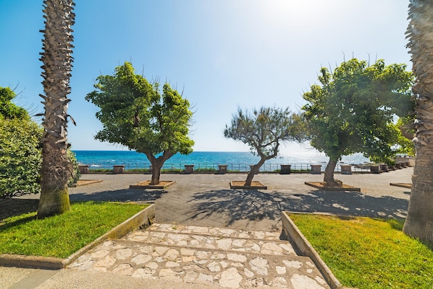 Grüne Bäume in Alghero-Promenade Italien