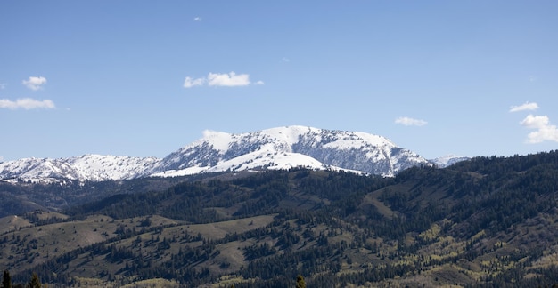 Grüne Bäume und Berge in der amerikanischen Landschaft