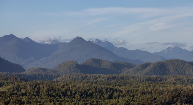 Grüne Bäume und Berglandschaft an der Westküste des Pazifischen Ozeans