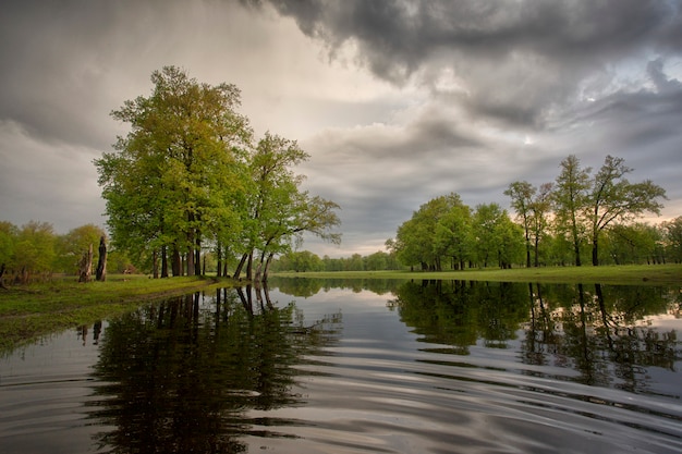 Grüne Bäume und Fluss