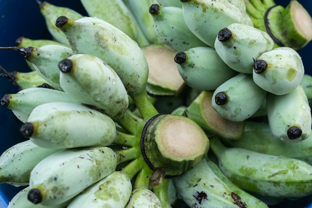 Grüne Banane auf dem Bauernhof. Hand, die grüne Bananen der Show für Verkauf hält.