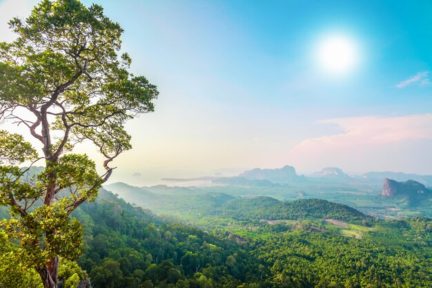 Grüne Berge in Thailand