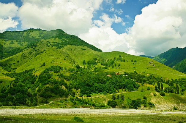 Grüne Berge