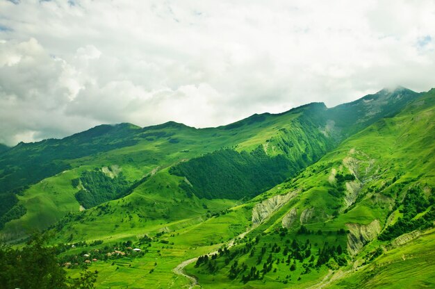 Grüne Berge