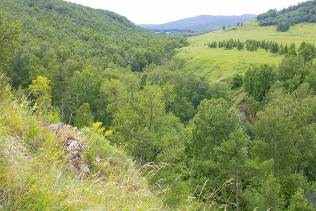 Grüne Berghänge und mit Wald bewachsene Hügel Sommerlandschaft