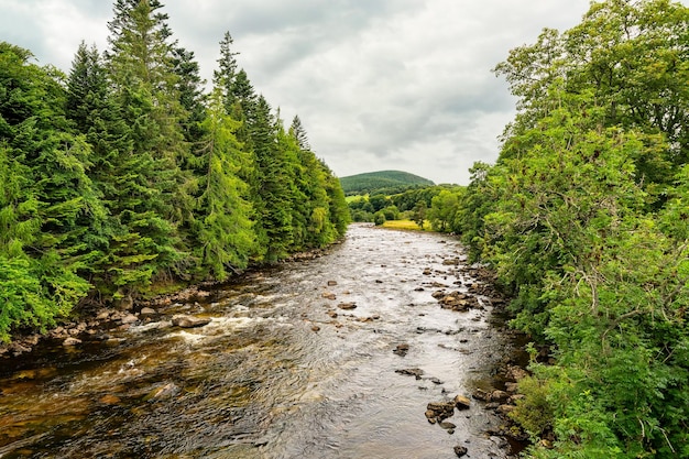 Grüne Berglandschaft mit einem Fluss, der zwischen hohen Bäumen im Hochland von Schottland, Großbritannien, fließt