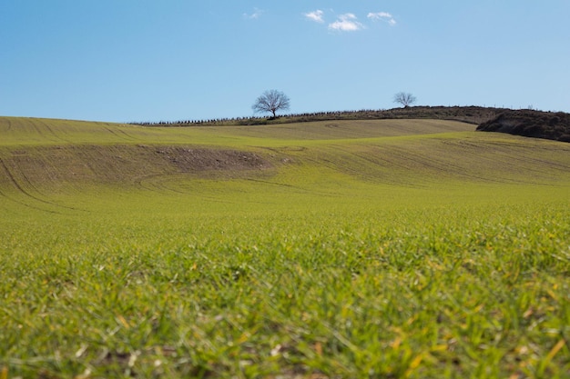 Grüne Berglandschaft