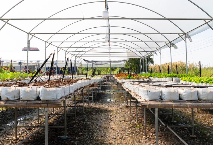 Foto grüne bio-gemüsegartenfarm
