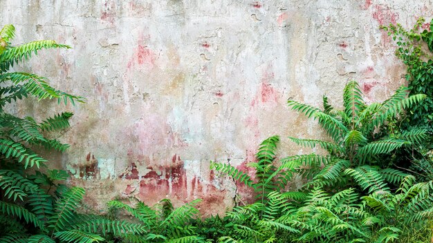 Foto grüne blätter auf alter verwitterter wandfassade vintage-hintergrund