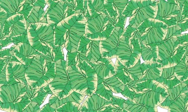 grüne Blätter tropisches Muster Frühlingsnatur Hintergrund
