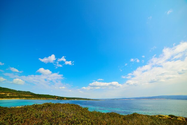 Grüne Büsche und blaues Meer in Sardinien Italien