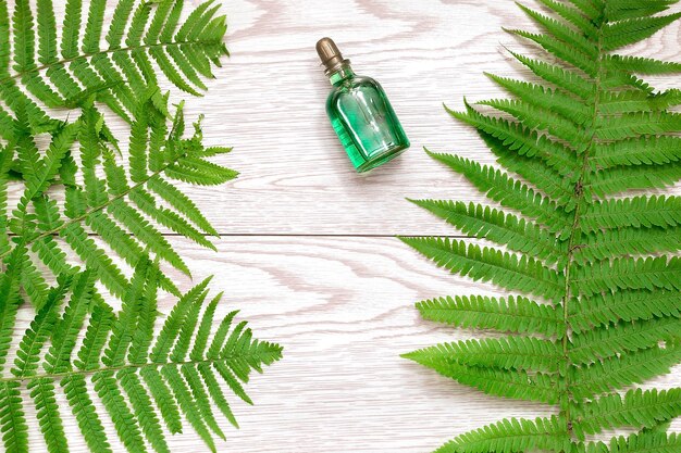 Foto grüne farnpflanzenzweige und weibliche parfümflasche duften natürliches öko-biokosmetik-schönheitsprodukt-selbstpflegekonzept mit kopienraum-holzhintergrund