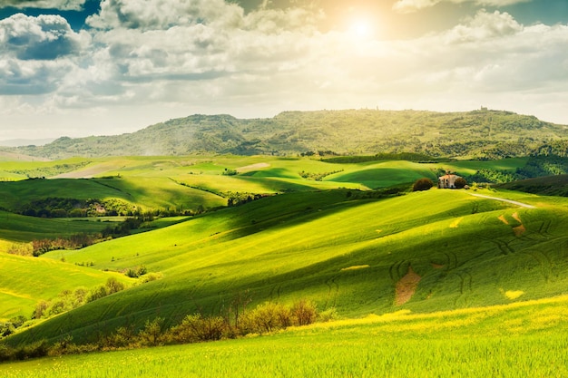 Grüne Felder und blauer Himmel. Schöne Landschaft der Toskana, Italien