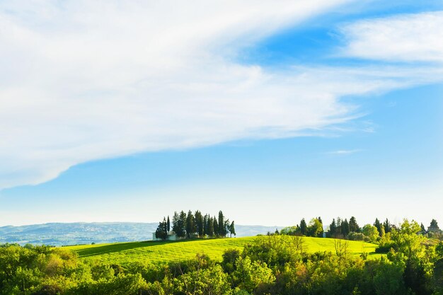 Grüne Felder und blauer Himmel. Schöne Toskana-Landschaft bei Sonnenuntergang, Italien