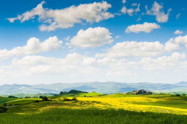 Grüne Felder und blauer Himmel. Schöne Toskana-Landschaft, Provinz Certaldo, Italien