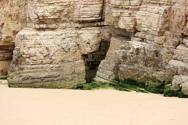 Foto grüne felsen am strand