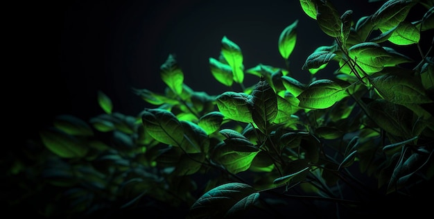 Grüne fluoreszierende Blätter copyspace im Stil von rtx auf Avocadopunk provia velvia erzeugen ai