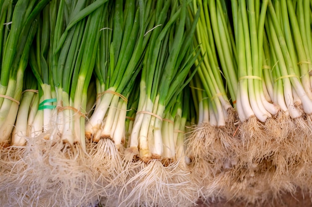 Grüne frische Zwiebel Textur Hintergrund. Food-Konzeptfoto.