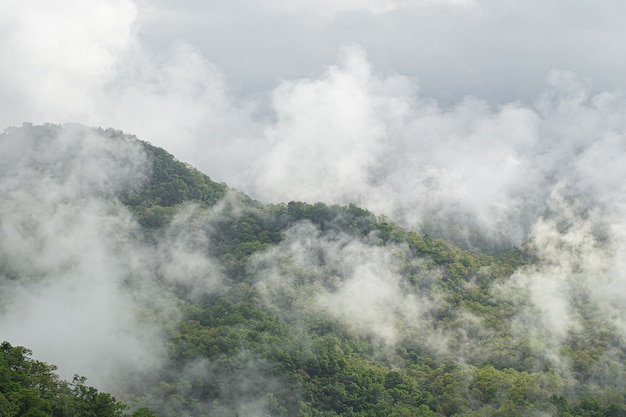 Grüne Gebirgslandschaft und Nebel in den Bergen